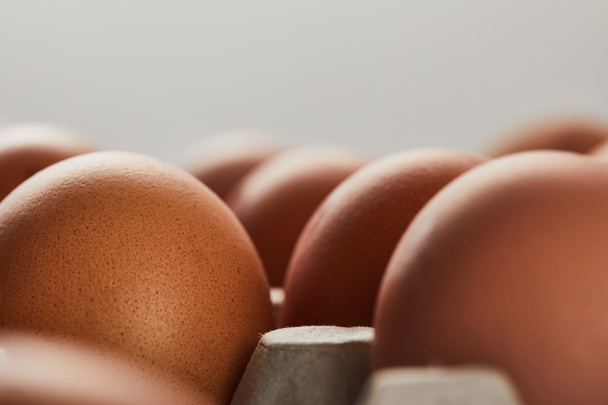 selective focus of chicken eggs in carton box - Foto, Bild