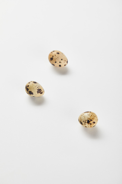  top view of quail eggs on white surface - Photo, Image