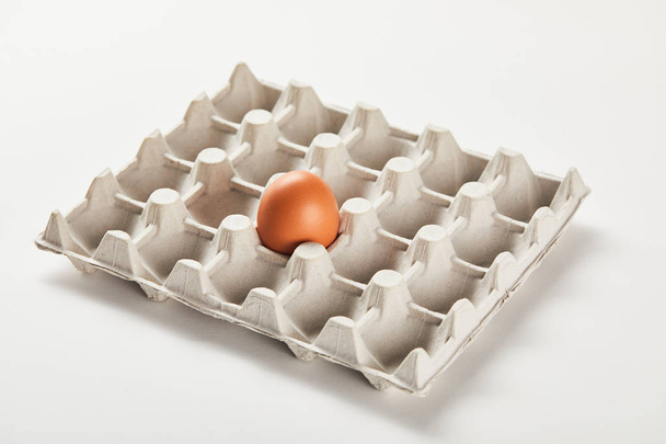 chicken egg in carton box on white surface - Fotoğraf, Görsel