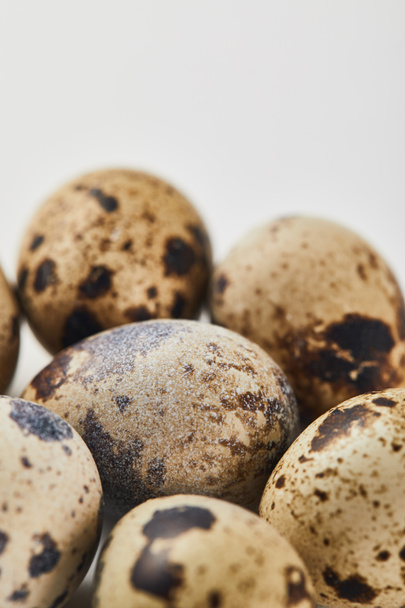 白い表面のウズラの卵の選択的焦点 - 写真・画像