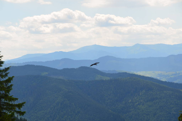 Lonely flight over the mountain peaks - Foto, Imagem