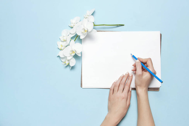 Dłonie kobiety z delikatnym manicure trzymając ołówek, pusty biały arkusz papieru, gałąź Phalaenopsis orchidei kwiaty na niebieskim tle góry widok płaski leżał. Koncepcja planowania. Makieta dla twojego projektu - Zdjęcie, obraz