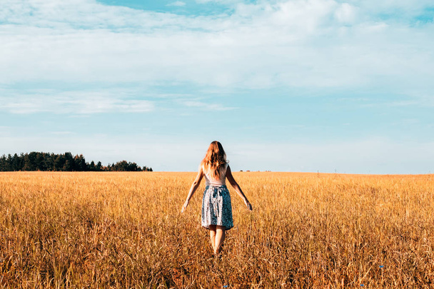 Woman in a dress walking along the field - Foto, immagini