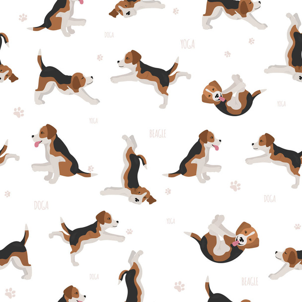 Yoga dogs poses and exercises. Beagle seamless pattern - Vektor, kép