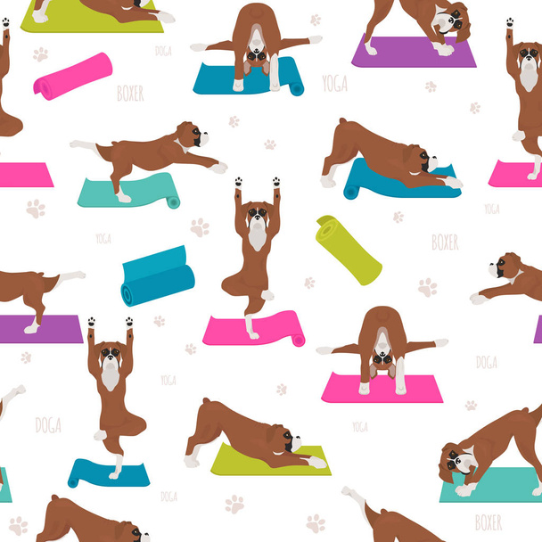 Yoga dogs poses and exercises. Boxer dog seamless pattern - Vector, Image