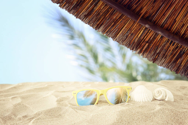 Pusta piaszczysta plaża, muszle i okulary przeciwsłoneczne przed letnim tłem morskim z kopią przestrzeni - Zdjęcie, obraz