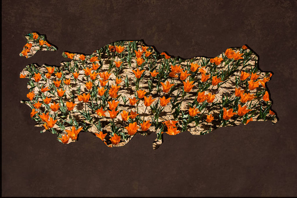 Ruwweg overzicht kaart van Turkije met tulp tuin vulling - Foto, afbeelding