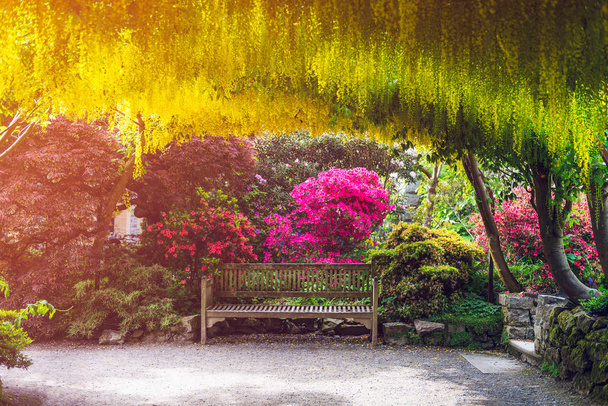 Garden with blooming trees during spring time, Wales, UK - Photo, Image