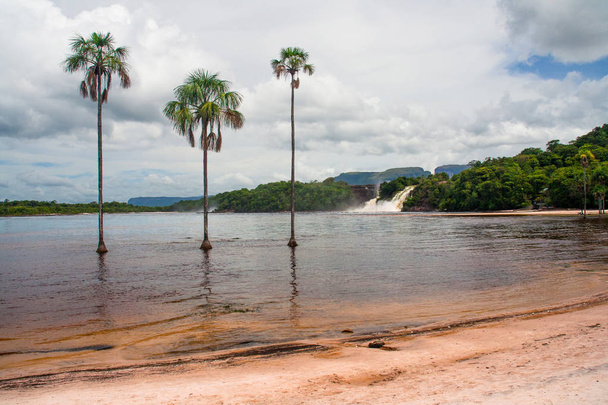 Laguna de Canaima - Parque Nacional de Canaima, Venezuela
 - Foto, Imagem