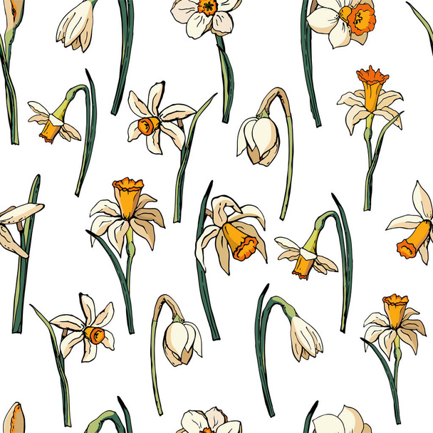 Vector floral illustration whit narcissus - Διάνυσμα, εικόνα