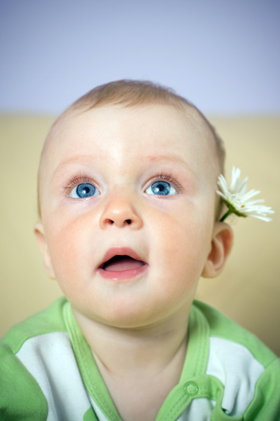 Baby portrait - Foto, Imagem