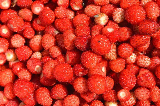 Background of wild strawberry berries close up - Photo, Image