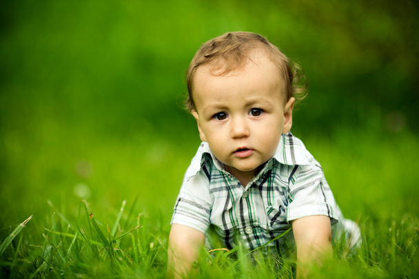Boy in grass - Φωτογραφία, εικόνα