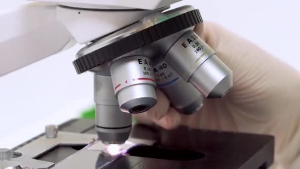 Scientist tune microscope objective lens to get better magnification. - Footage, Video