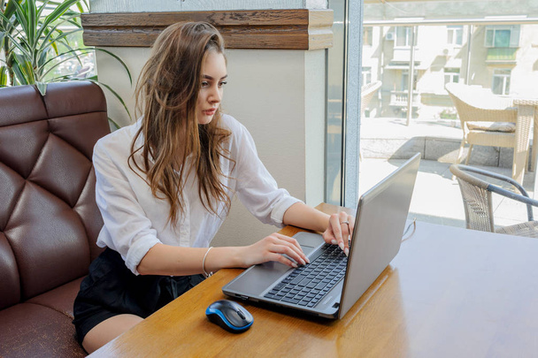 Belles femmes brunes utilisant un ordinateur portable dans un café
 - Photo, image