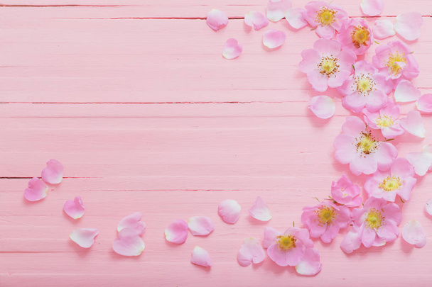 frame of pink roses on pink wooden background - Foto, imagen