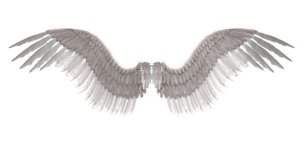 крилами ангела
 - Фото, зображення