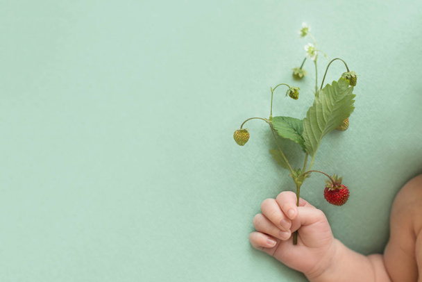 gallyat vörös földieper bogyókkal egy türkiz hátterű újszülött kezében. Nyári vitaminok betakarítása. Gyümölcsallergia gyermekeknél. Fénymásolási hely.  - Fotó, kép