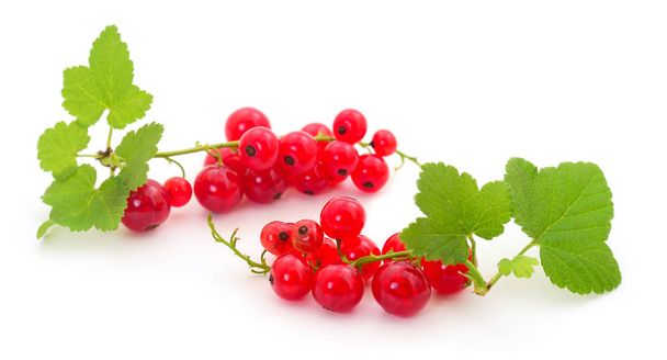 Red currant fruit. - Foto, Imagen