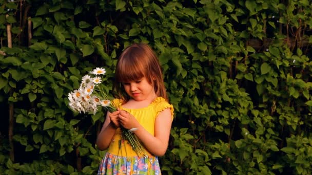Little girl with a bouquet of camomiles, smiles - Felvétel, videó