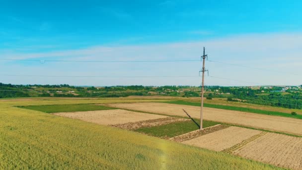 Légi madártávlatból kilátás a mezőgazdaság és az ártatlan területeken egy vidéki faluban. 4k. - Felvétel, videó