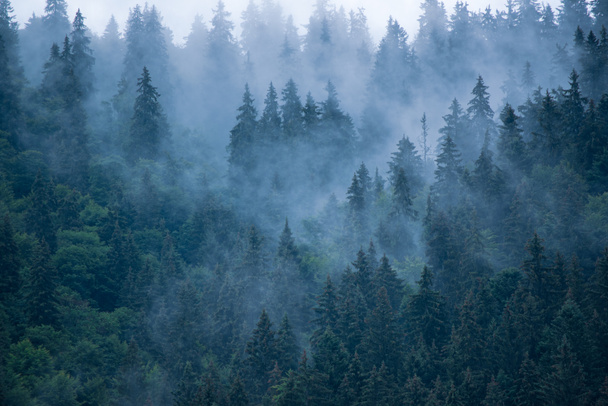 Misty paisaje de montaña - Foto, Imagen