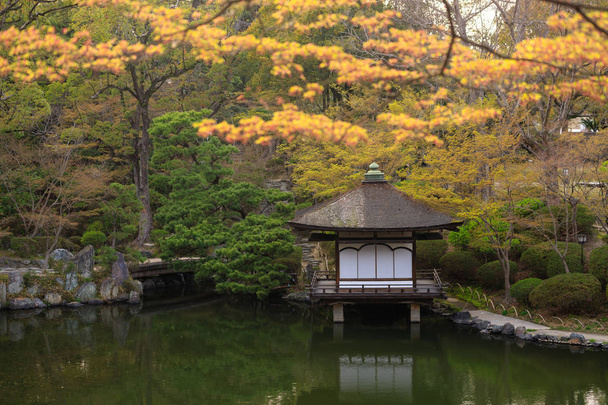 Japán kert srping - Fotó, kép