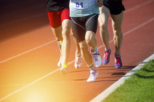 Gente atletica che corre sul campo di atletica. Giornata di sole
 - Foto, immagini