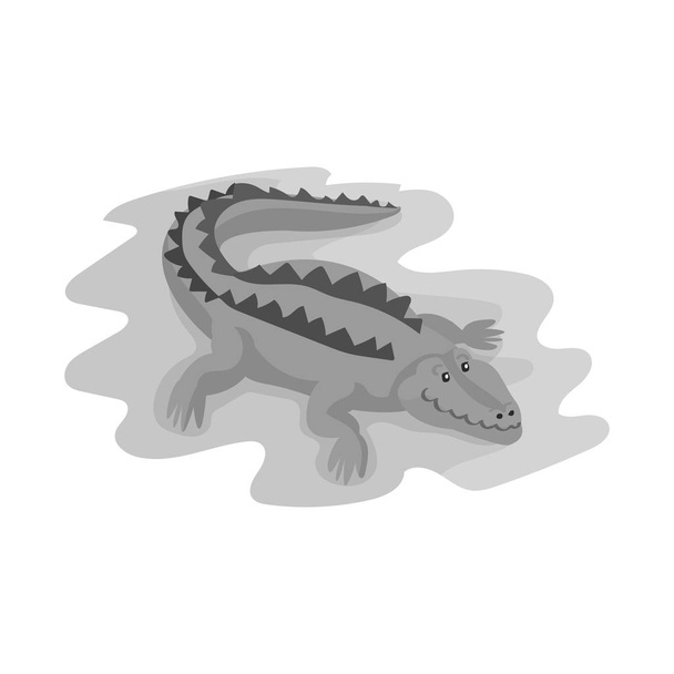 Vector illustration of crocodile and alligator symbol. Collection of crocodile and cute vector icon for stock. - Vektör, Görsel