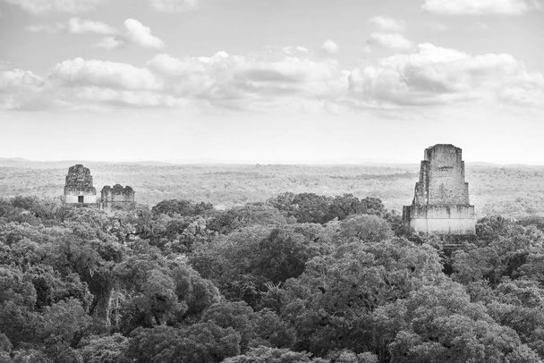 Tikal National Park Guatemala zwart-wit - Foto, afbeelding