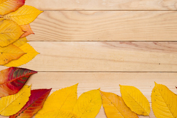 folhas de outono amarelo em um fundo de madeira, fundo em branco
. - Foto, Imagem