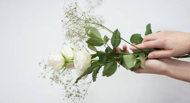 female hands hold delicate white roses on a white background - Photo, image