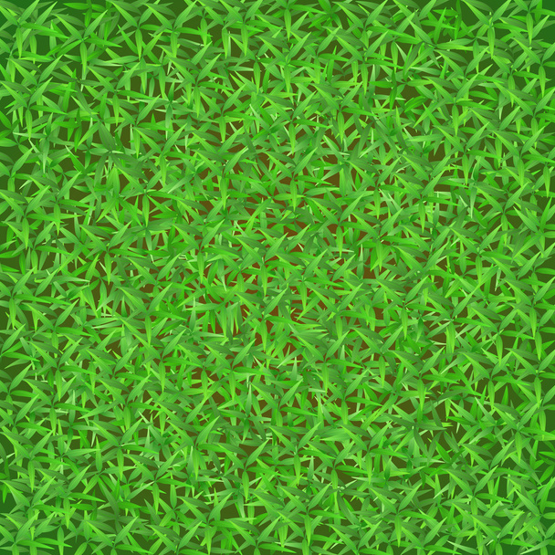 緑の草原 - ベクター画像