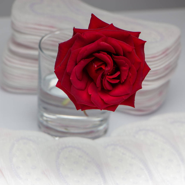 Rosa rossa e assorbenti igienici. Il concetto di purezza e freschezza
 - Foto, immagini