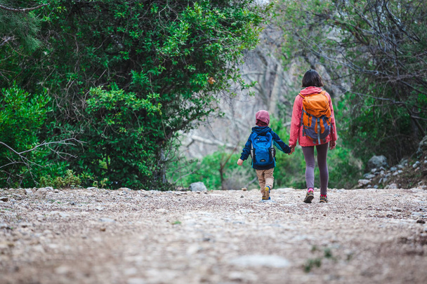 Uma mulher caminha com seu filho pela floresta
.  - Foto, Imagem