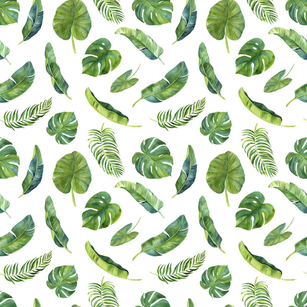 conjunto de hojas de palma tropical acuarela dibujadas a mano
 - Foto, imagen