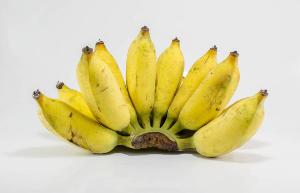 Plátano cultivado sobre fondo blanco
 - Foto, Imagen