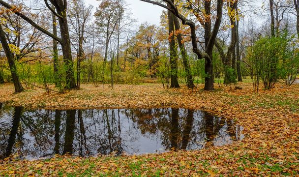 Autumn park in Saint Petersburg, Russia  - Foto, imagen
