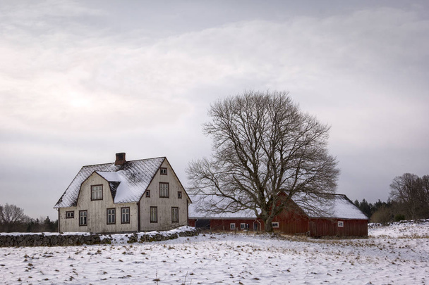 Tipico casale e fienile in legno svedese
 - Foto, immagini