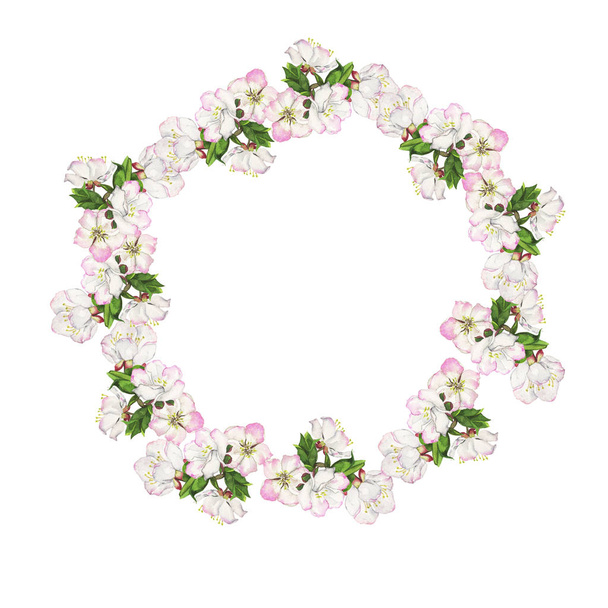 beautiful spring flowers illustration on white backdrop - Zdjęcie, obraz