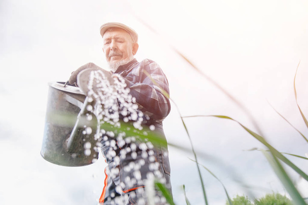 Senior man pours watering can in vegetable garden of plant. Concept farm - Fotografie, Obrázek