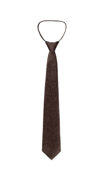 Шаблон Пейсли стильный узкий галстук коричневый, изолированный на белом фоне
 - Фото, изображение