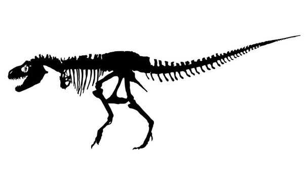 Vecktor image of a dinosaur skeleton silhouette, a large image that can be edited. картинки, подходящие для иллюстрации в учебниках и детских книгах
. - Вектор,изображение
