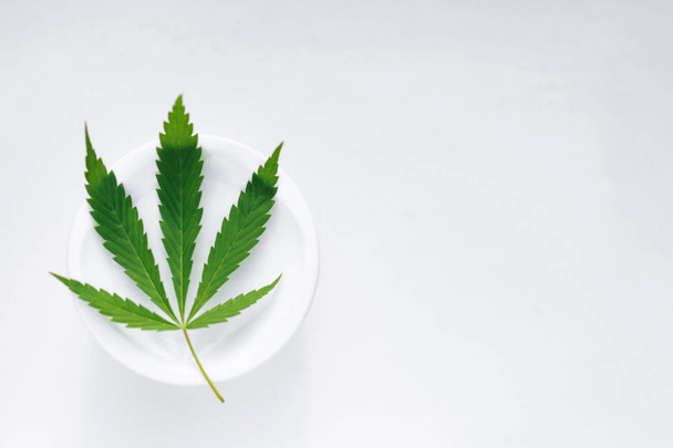 grünes Cannabisblatt auf einem Glas Sahne. Marihuana und Hanfpaste  - Foto, Bild