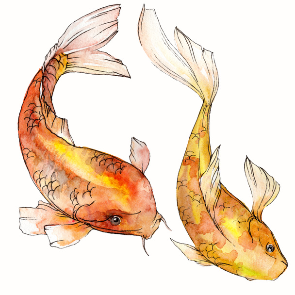 Acuarela acuática subacuática colorido conjunto de peces tropicales. Mar Rojo y peces exóticos en el interior: Pez dorado aislado
. - Foto, Imagen