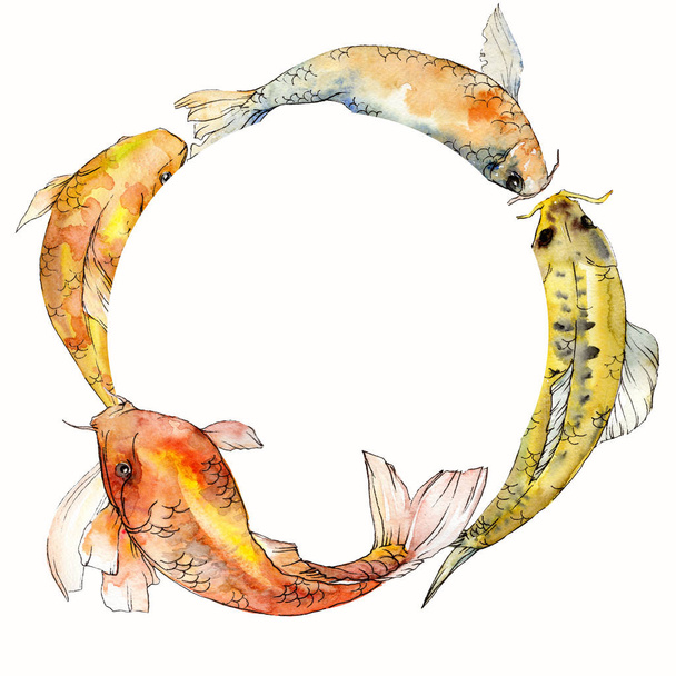 Aquarelle aquatique ensemble de poissons tropicaux sous-marins. Mer Rouge et poissons exotiques à l'intérieur : Poisson rouge. Cadre bordure carré
. - Photo, image