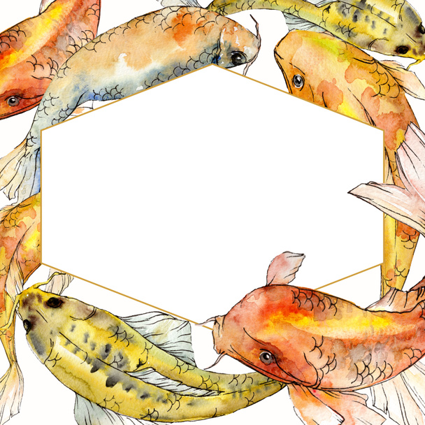 水彩水生水中熱帯魚セット。中の紅海とエキゾチックな魚:金魚。フレームの境界線の正方形. - 写真・画像