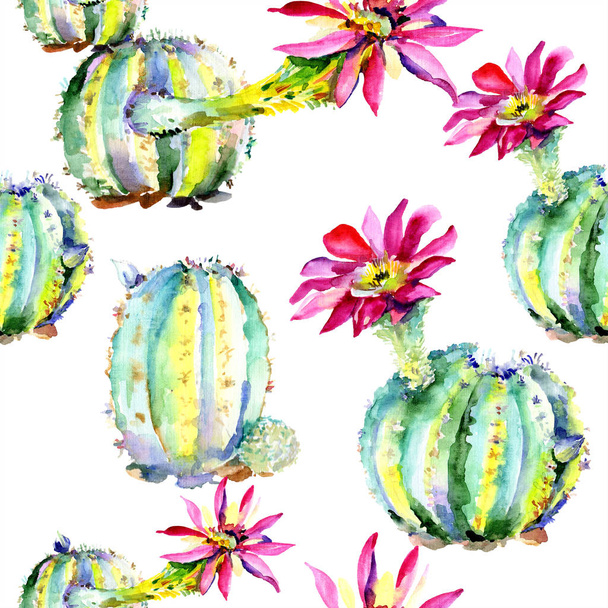 Green cactus. Floral botanical flower. Wild spring leaf wildflower isolated. Seamless background pattern. - Photo, Image