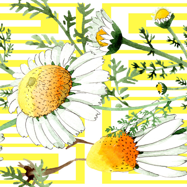 Chamomile floral botanical flower. Wild spring leaf isolated. Watercolor illustration set. Watercolour drawing fashion aquarelle. Seamless background pattern. Fabric wallpaper print texture. - Fotografie, Obrázek