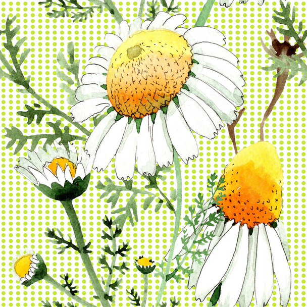 Chamomile floral botanical flower. Wild spring leaf isolated. Watercolor illustration set. Watercolour drawing fashion aquarelle. Seamless background pattern. Fabric wallpaper print texture. - Photo, Image